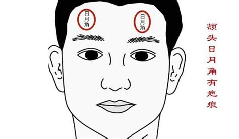 日角月角|面相解讀——額頭日月角